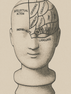 Testa di ceramica con mappa cerebrale che illustra aree cognitive come linguaggio, causalità e individualità – concetto di pregiudizi cognitivi